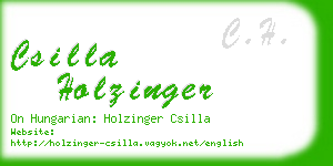 csilla holzinger business card